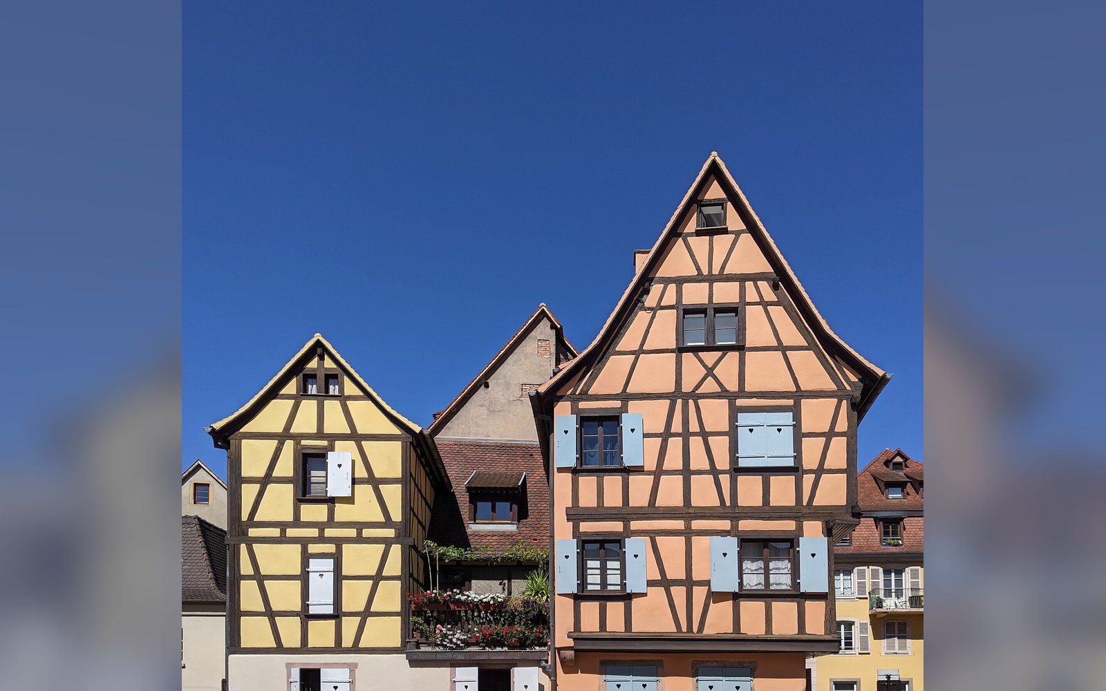 An Alsatian colombage timber frame in raking morning light, white render between darkened oak members, Colmar