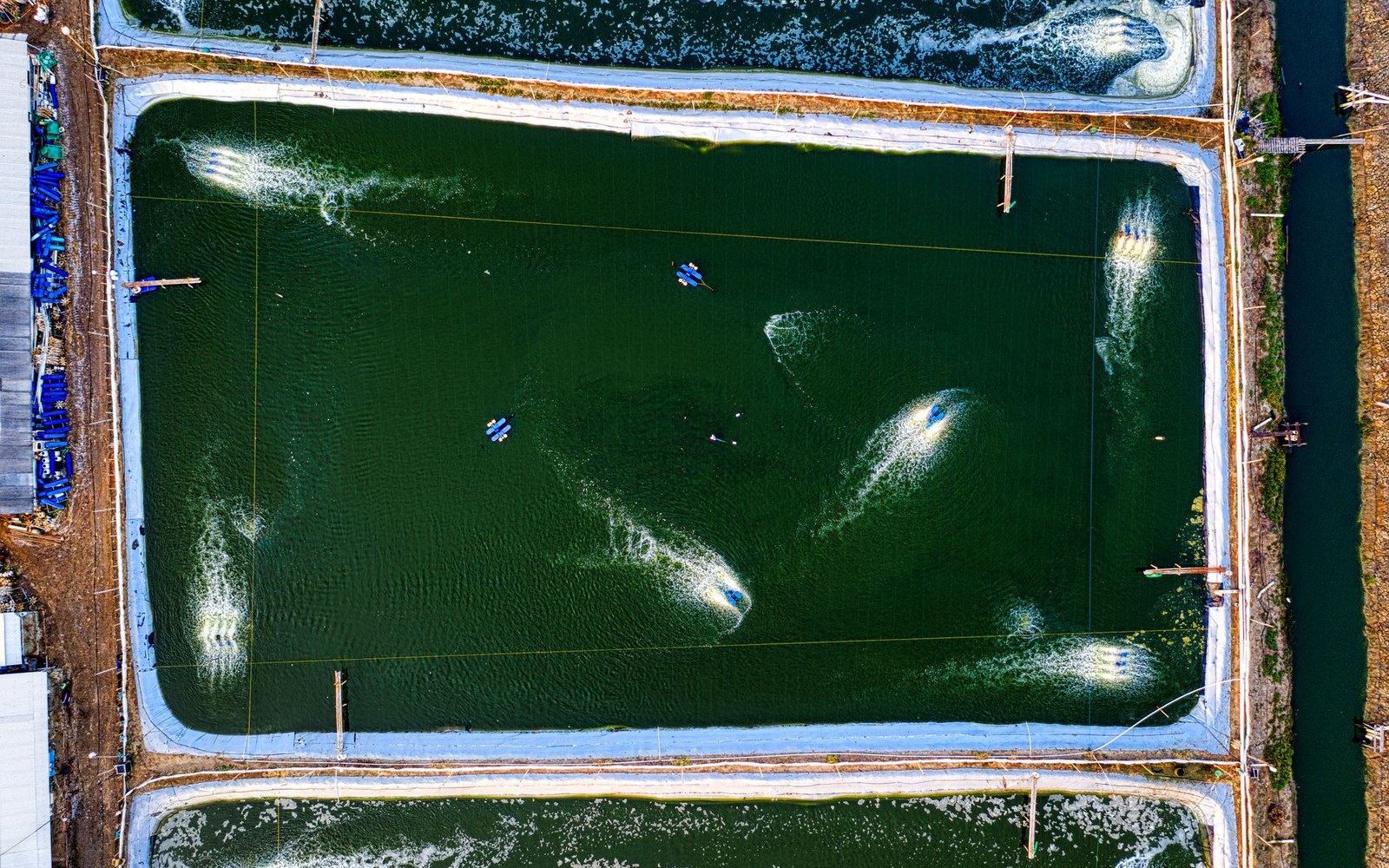 Aerial view of rectangular oyster ponds with aerators churning green water