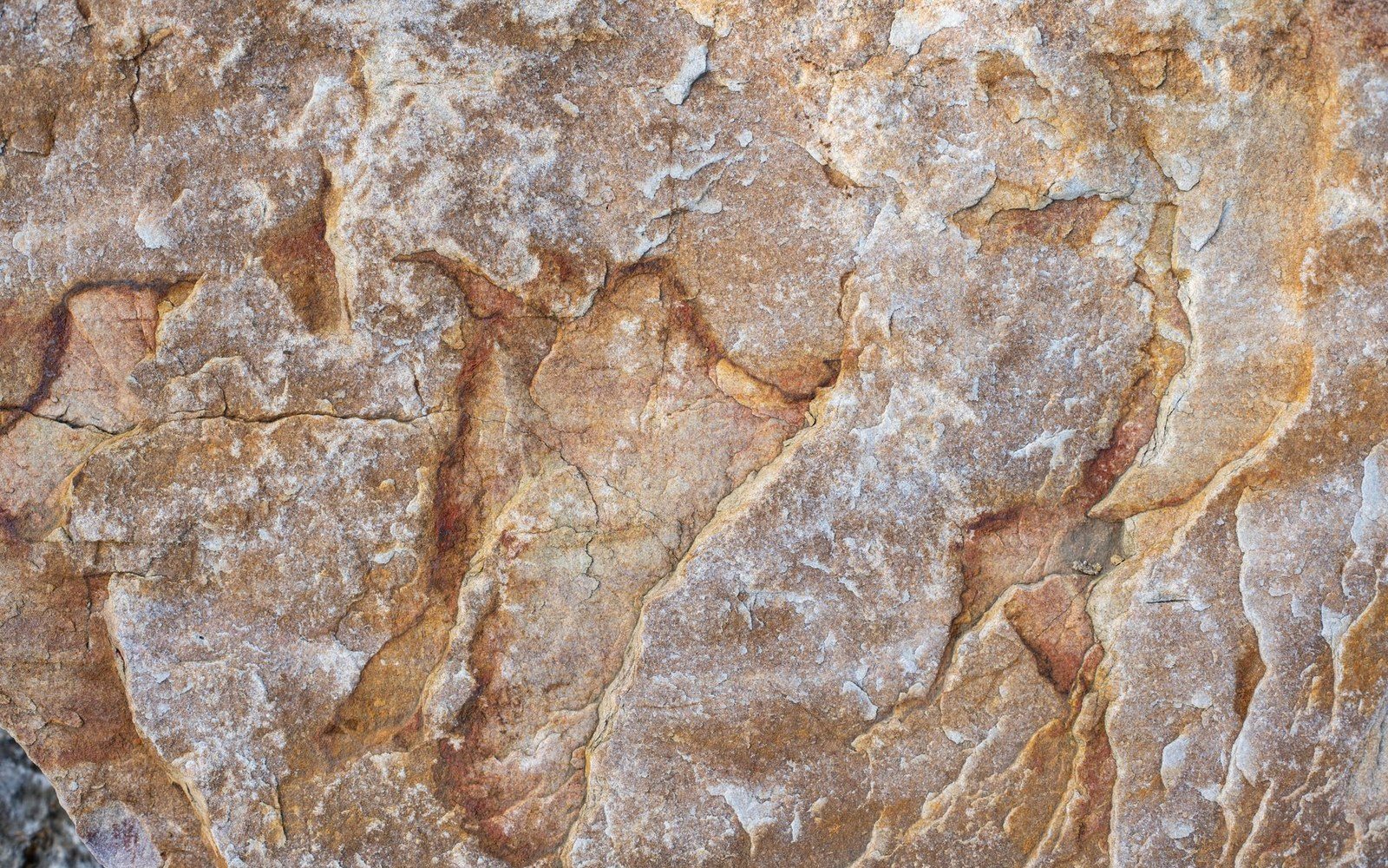Close-up of weathered stone surface with rust-colored veins and mineral streaks